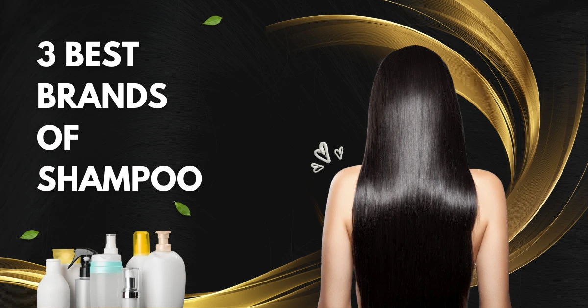 3 Best Brands Of Shampoo